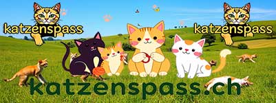 katzenspass.ch